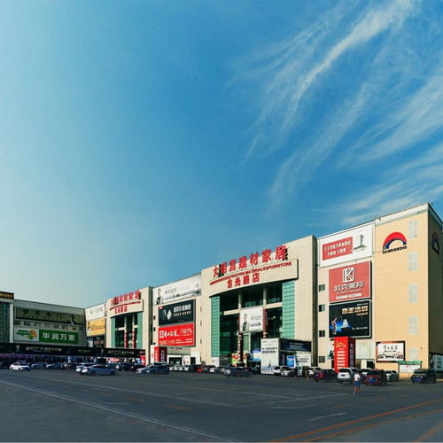 全力以赴，持續提升——大明宮建材家居的2024年終將不凡